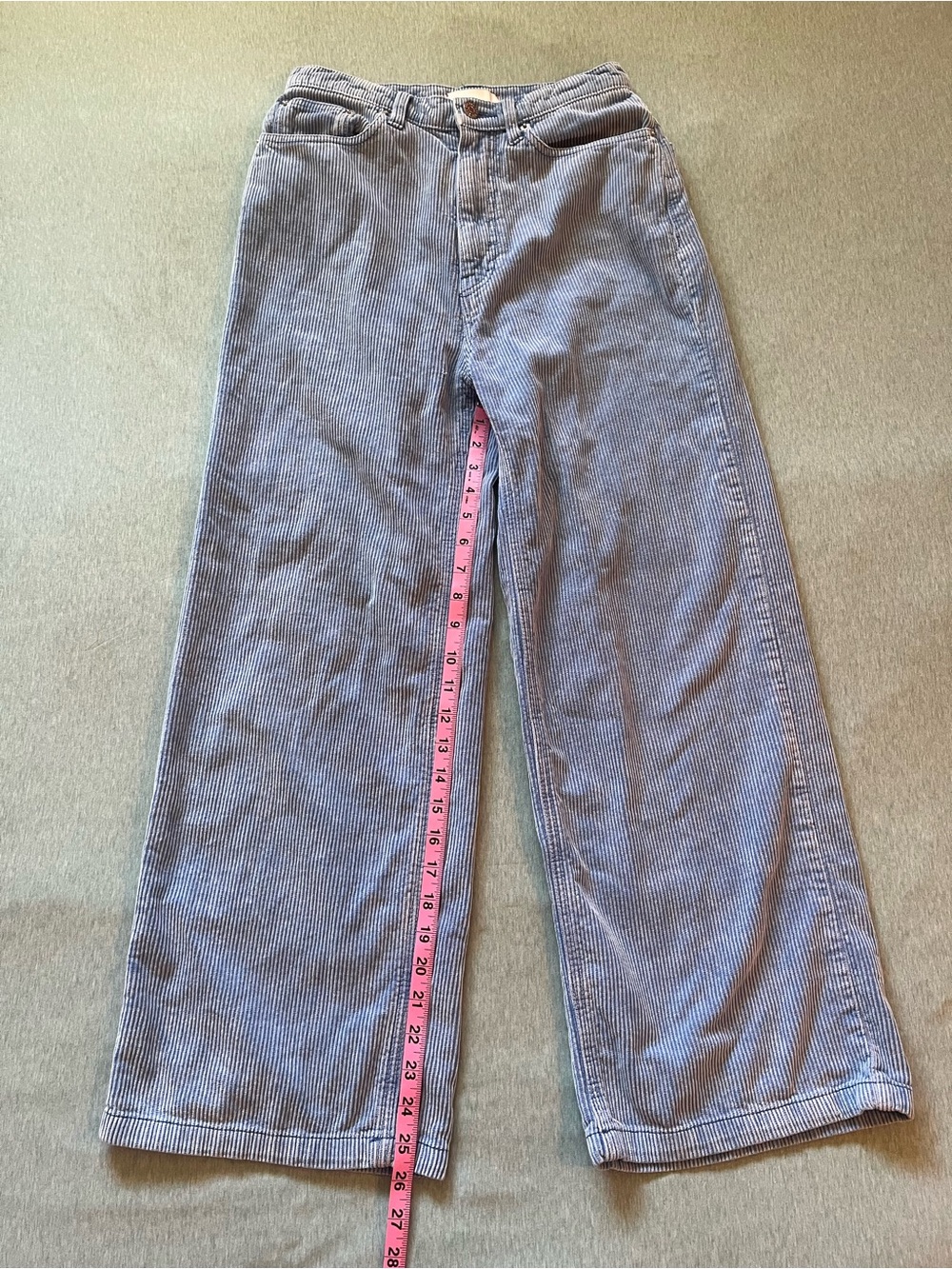 BDG Wide Leg Corduroy Crop Pants in Blue